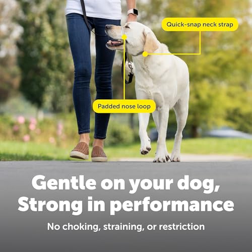 PetSafe Gentle Leader Quick Release Head Collar Medium Black 25-60 lbs