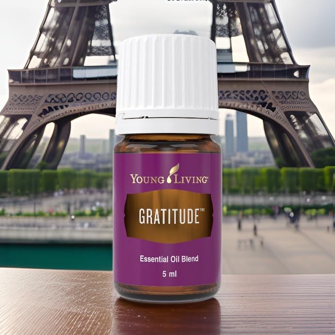 ハイエスト ポテンシャル Young Gratitude ワイエルチャイルド ハイエスト ポテンシャル Young Gratitude ワイエルチャイルド 【公式