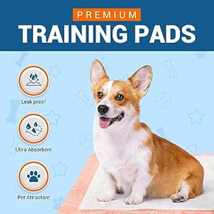 MED PRIDE Dog Training Pads [Travel Pack of 5] – Disposable, Ultra-Absorbent 6-Layer Puppy Potty Pee Pads with Sticky Strips- Leakproof & Waterproof Pet Pads for Dogs & Cats, 22 x 24”