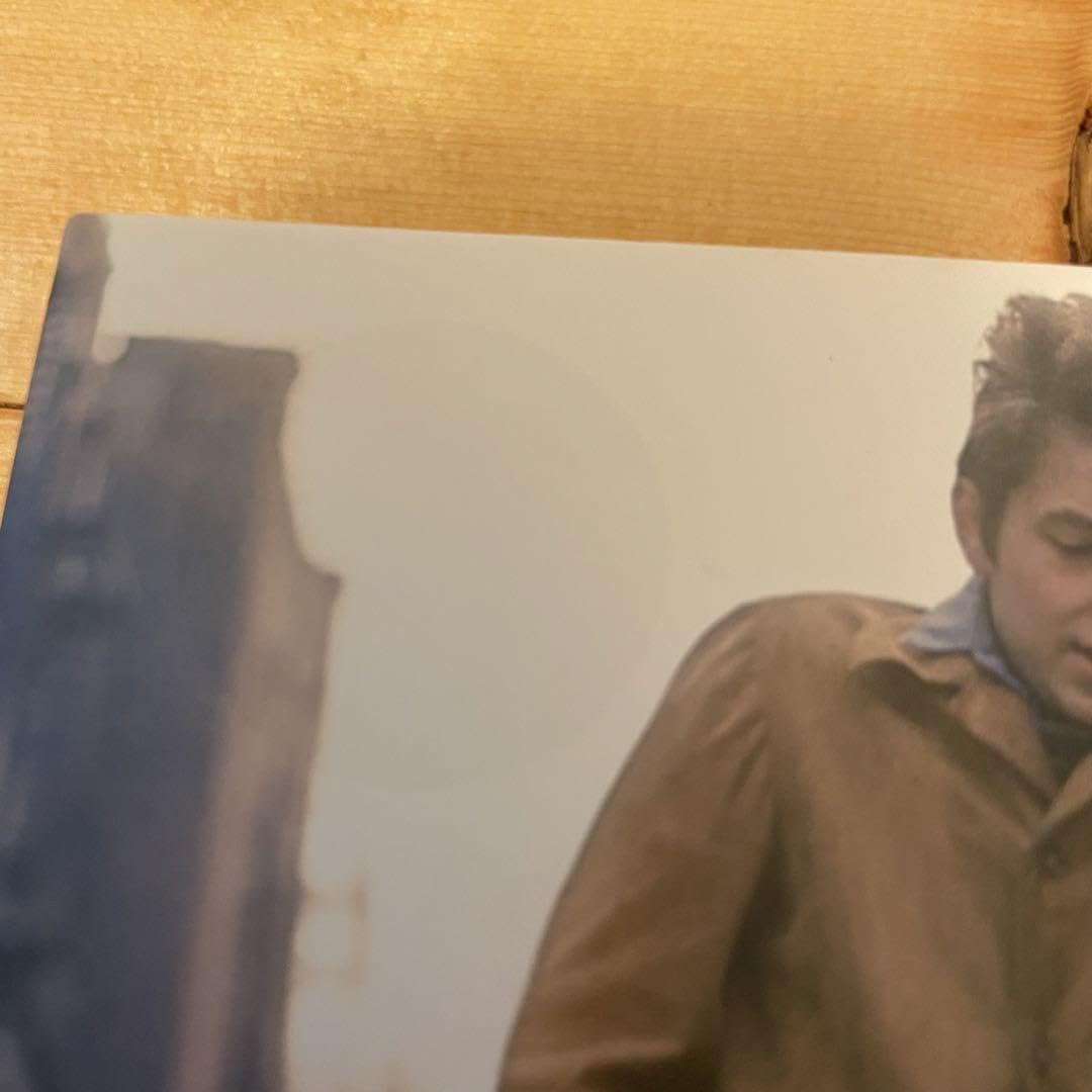 Amazon.co.jp: 初版グリニッジヴィレッジの青春／著 スージーロトロ