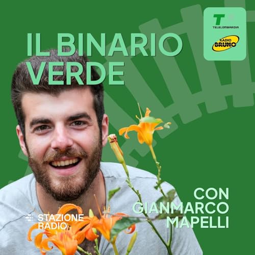 Il binario verde cover art