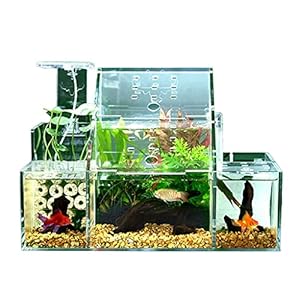 ZHANGJINYISHOP2016 Vis Tank Desktop Creatieve Ecologische Betta Vis Tank Sier Vis Tank Led Licht Filter Pomp Thuis…