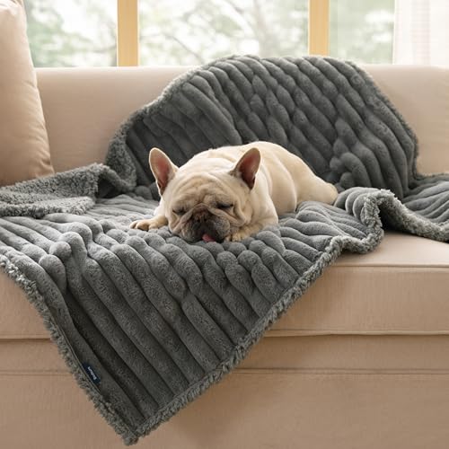 BEDSURE wasserdichte Hundedecke - 76 * 102 cm Hundedecke waschbar für mittelgroße Hunde, Haustier Decke flauschig und weich, Schutzdecke Hundesofa, Decke für Hunde, Grau