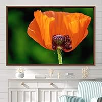 Framed Canvas Wall Art Flora Snapshot Closeup Dark Expressive Farmhouse/Country Floral Multicolor Photography Realism Single - 16x24 inches