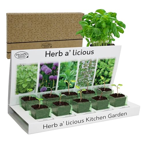 Pronto Seed Grow Your Own Herbs Kit - 5 Varieties