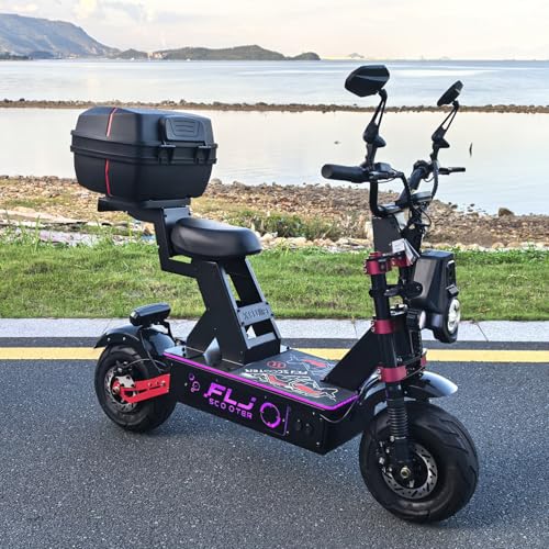 FLJSCOOTER K13 Ultra Electric Scooter