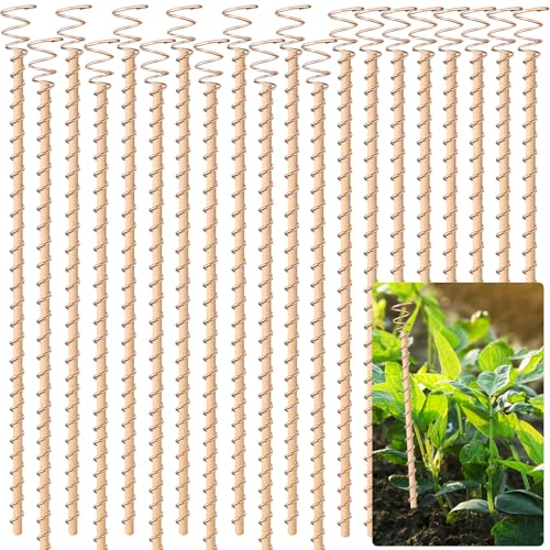 Doksving 20pcs Electroculture Plant Stakes 13.5 Copper Coil Wire Antennas Garden Stakes Tensor Rings Kit Copper Rods Electronic Planting for Growing Vegetable Garden Plants Support Outdoor Indoor