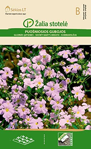 Seklos LT | Gypsófila semillas | Semillas de flores | Semillas de plantas | Las flores son muy pequeñas, pero muy densas | 1 paquete
