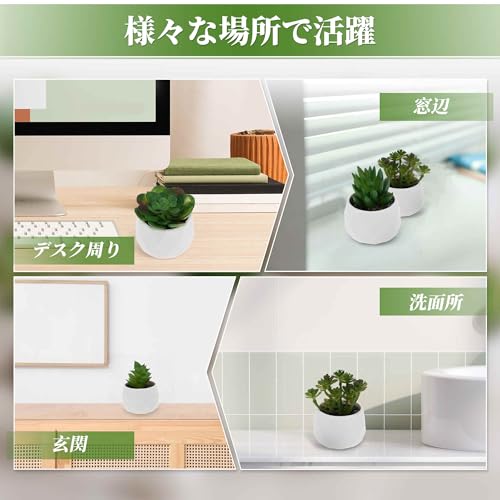 CAPASTEC フェイクグリーン インテリアグリーン 多肉植物 人工 お世話不要 卓上 ミニ 鉢植え デコレーション 装飾 かわいい 玄関 デスク バスルーム キッチン Type 3 [4]