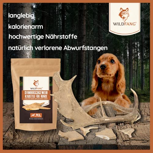 Wildfang® Damhirsch-Geweih – Geweihe für Hunde, Kauspielzeug und Kauartikel aus Hirschgeweih – Größe M für Hunde von 10–25 kg, 1er Pack
