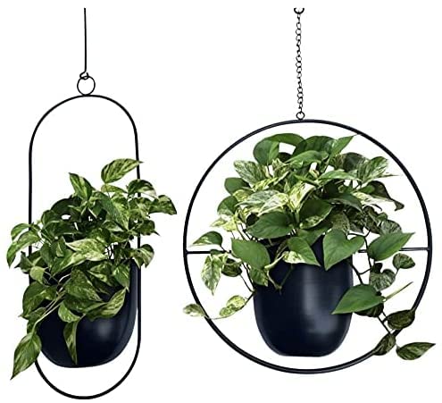 best hanging planters
