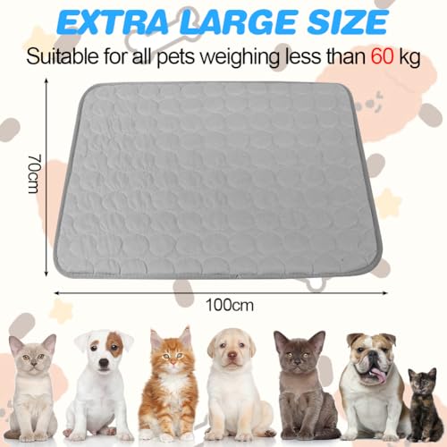 LOMUG Hundekäfigmatratze, Hundekissen Waschbar Hundebett Weiche Zwingerunterlagen Haustierbettdecke Haustier Sofakissen Hundekäfigmatte Hundedecke Hundebettmatten für Hunde & Katzen Größe XL 100x70 cm