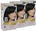 1N Bigen Easy Color for Women Natural Black - 3 Pack