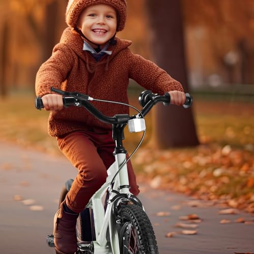 BODIOO Kids Bike for Boys Girls 12 Inch Kid Bike with Removable Training Wheels Sturdy Frame Adjustable Seat Handbrake & Coaster Brake (Mint Gray)