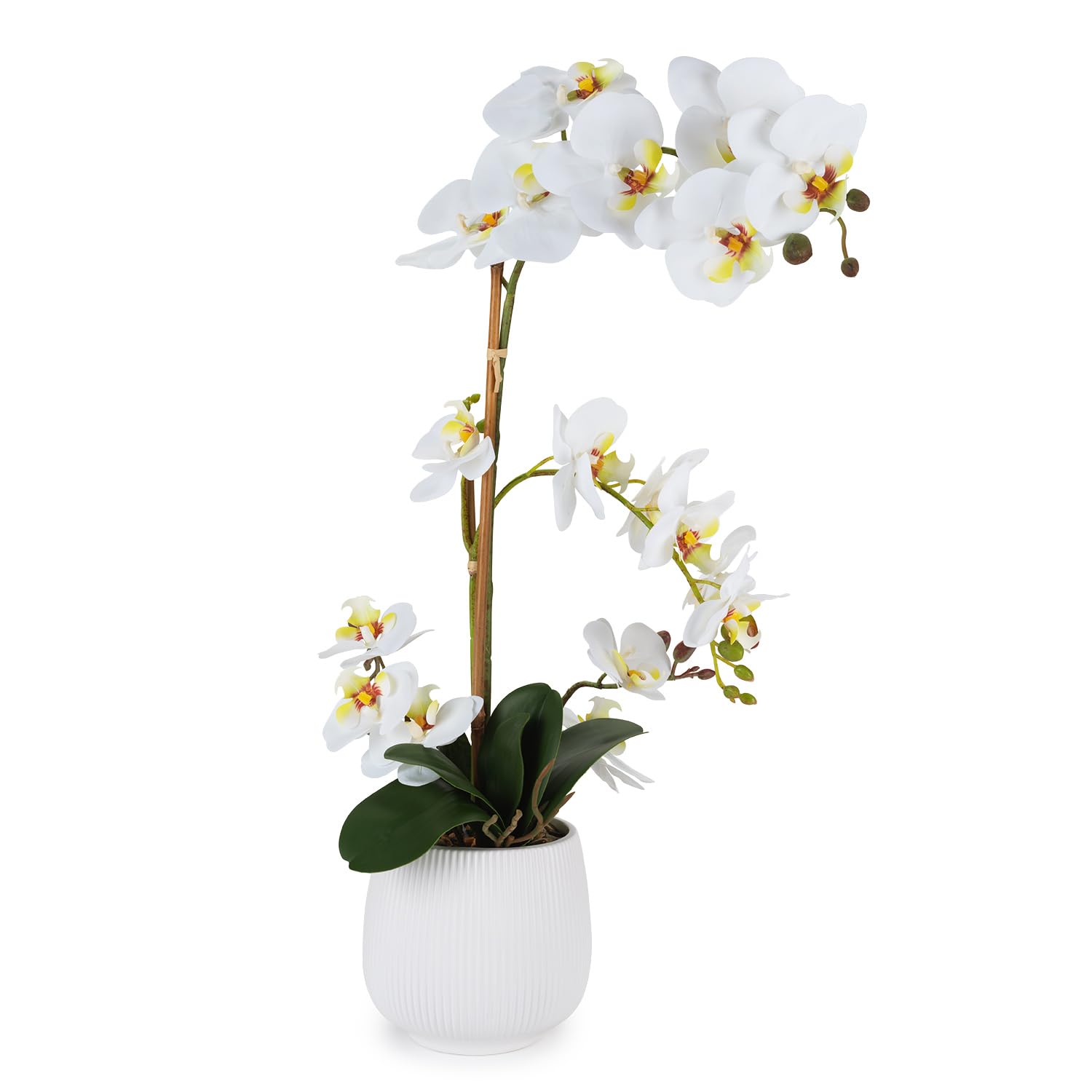 Henriette Orchidea Artificiale Bianca in Vaso di Ceramica Bianco, Pianta Finta con Fiori Bianchi e Gialli, Decorazione Elegante - H 58 cm