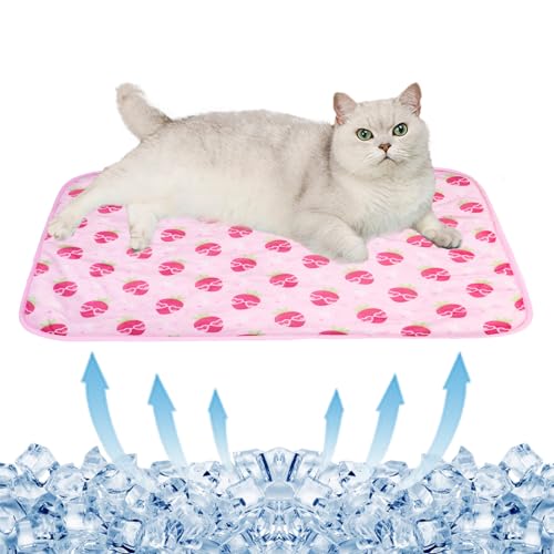 BAMY Cat Cooling Mat Summer Dog Silk Pad Self Cooling Cushion Washable Kitten Ice Blanket with Duck Strawberry Pattern (Pink Strawberry, S (19.7″x15.7″)) BAMY Cat Cooling Mat Summer Dog Silk Pad Self Cooling Cushion Washable Kitten Ice Blanket with Duck Strawberry Pattern (Pink Strawberry, S (19.7″x15.7″))