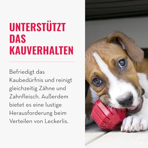 KONG Stuff-A-Ball - Langlebiges Kauspielzeug aus Gummi für Hunde - Für Zahngesundheit & Zahnreinigung - Befüllbares Spielzeug für Leckerlis & Snacks - Für Kleine Hunde