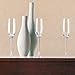 Lenox Tuscany Classics 4pc Toasting Flute Set, 2.3 LB, Clear