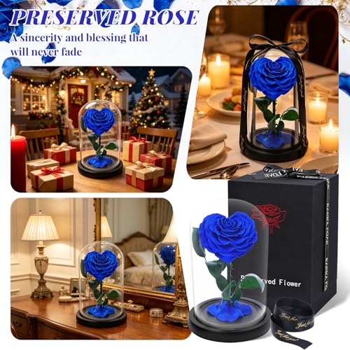 Rosa preservada real en cúpula de vidrio con forma de corazón miniatura 4