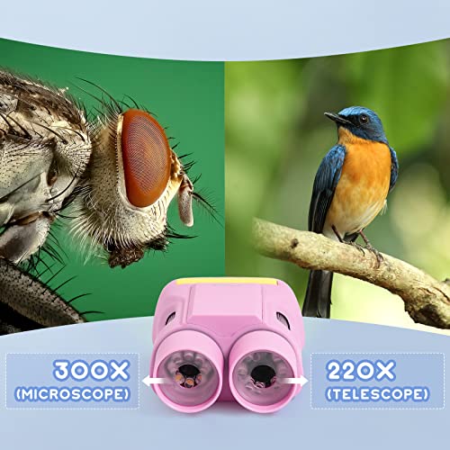 Andonstar Ad122 Handheld Digital Microscope 2 In 1 Binoculars Camera For Kids,With 2 Inch Lcd Screen 50X-300X Usb Microscope For Birthday Gifts,With 8G Sd Card (Pink) #TOP3