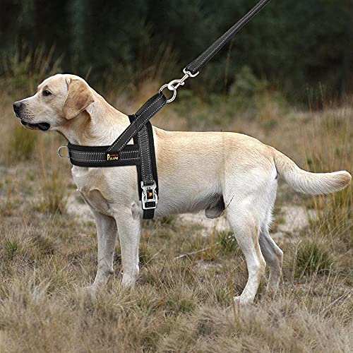 Image of Plutus Pet No Pull Dog Harness for Medium Sized Dog, Breathable Mesh Padded