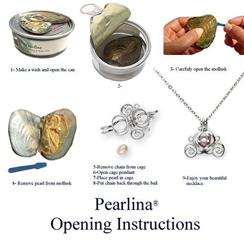 Pearlina Princess carriage Cultured Pearl Oyster Necklace Set Silver-tone Cage w/Stainless Steel Chain,183