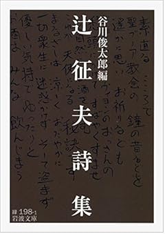 辻征夫詩集 (岩波文庫)
