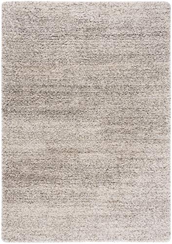 SAFAVIEH Hudson Shag Collection Area Rug - 6' x 9', Ivory & Grey, Non Shedding & Easy Care, 1.25-inch Thick, Ideal for High Traffic Areas in The Living Room, Bedroom, Dining (SGH295B-6)