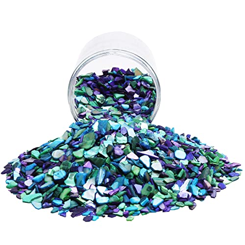 QICQDRAM Crushed Shells for Crafts 2 LBS(32OZ) Small Natural Crushed Shells Bulk, for Crafts DIY Beaching Wedding Decoration Vase Fillers