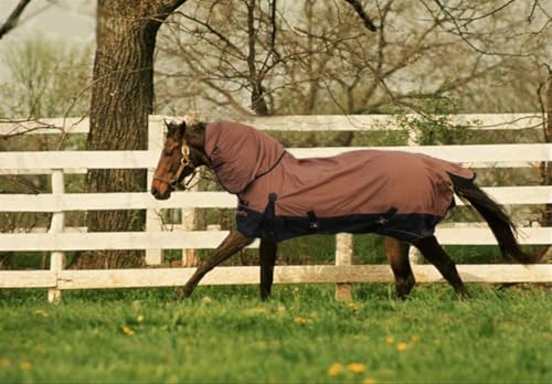 Turnout Waterproof Horse Blanket Winter Horse Blankets (Brown Black 75)