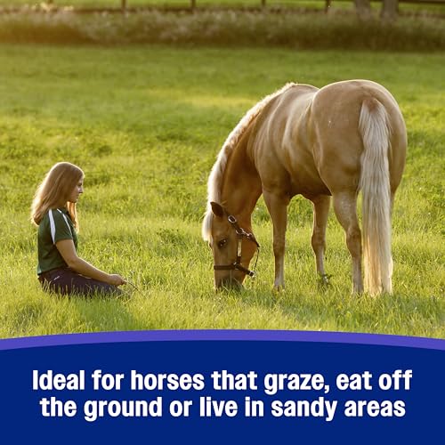 Farnam SandClear Crumbles, Psyllium Digestive Supplement, 9 Day Supply | Apple Flavor,Psyllium Digestive Health Supplement for Horses supports the removal of sand and dirt from the ventral colon - Image 6