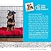 Paws & Pals Dog Crate, 24