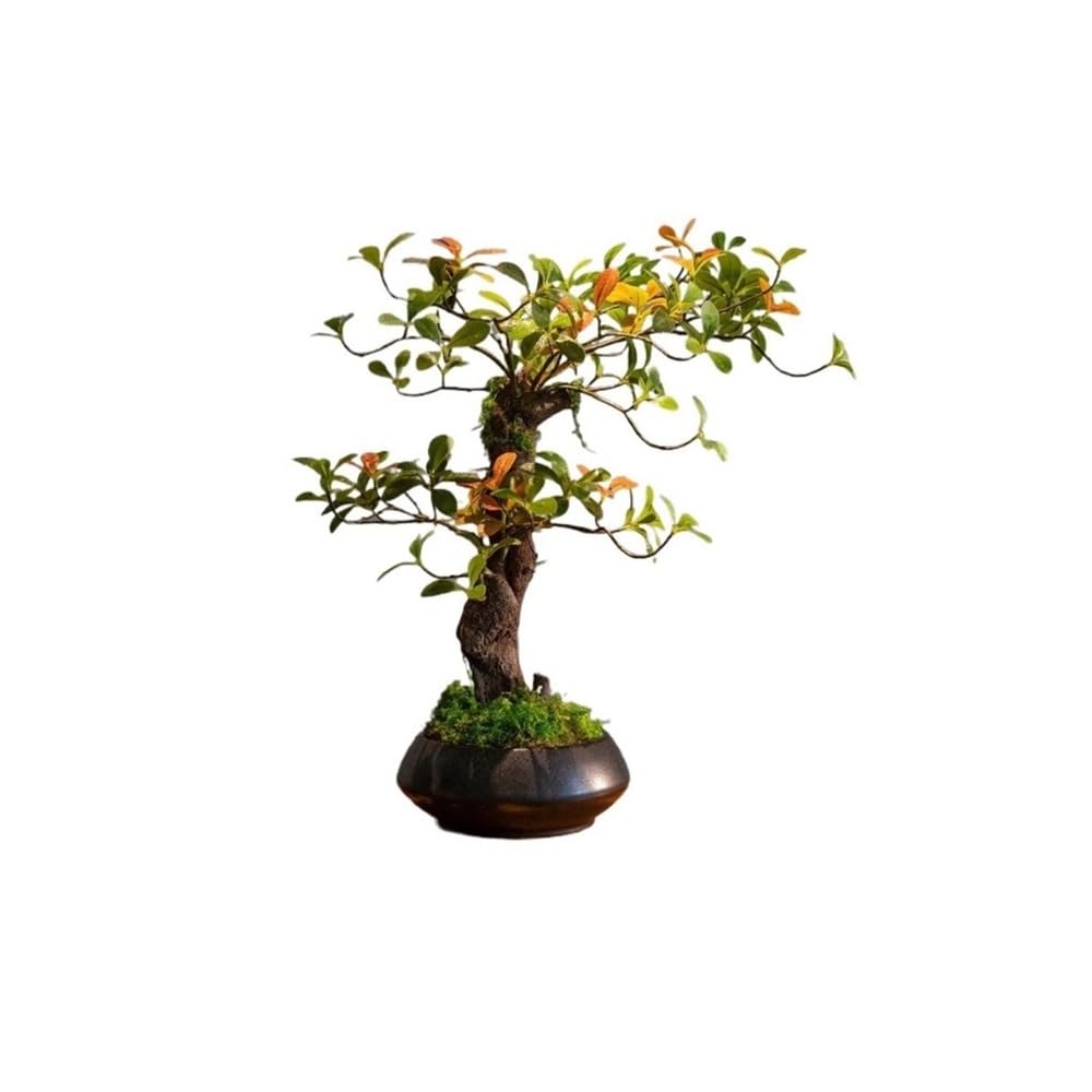 CHENGAIJIAN Artificial Bonsai Tree, Artificial Tree Potted Plant,Realistic Greenery Decor for for Home Bedroom Office Desk
