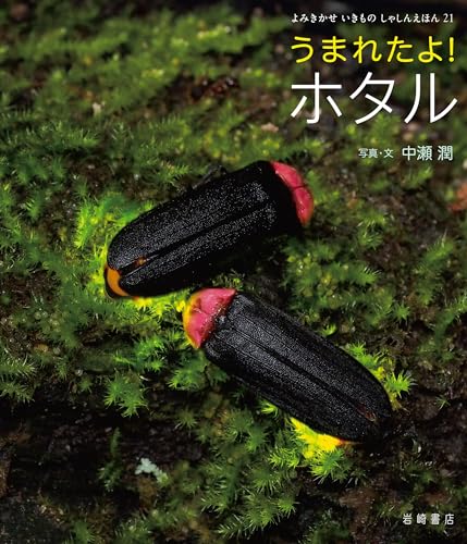 うまれたよ! ホタル よみきかせ いきものしゃしんえほん