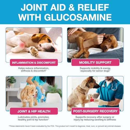 Gelenkergänzung für Hunde 60ml - Flüssigtropfen für Seniorenhunde mit Glucosamin | Natürliche Schmerzlinderung & Unterstützung für Hüfte & Gelenke | Reduziert Entzündungen & Steifheit | Rindfleischges
