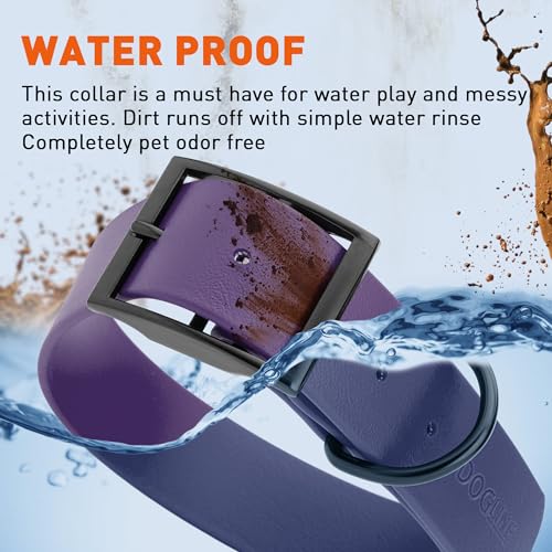 Image of Dogline Biothane Waterproof Dog Collar Strong Coated Nylon Webbing with Black Hardware Odor- Proof for Easy Care Easy to Clean High Performance Fits Small Medium or Large Dogs, Violet Purple