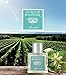 Produktbild Acqua di Bolgheri Maestrale Eau de Parfum 100 ml Dr.Taffi - frisch-fruchtig für Sie und Ihn