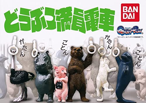 ǂԂd [S6Zbg(tRv)] K`K` JvZgC