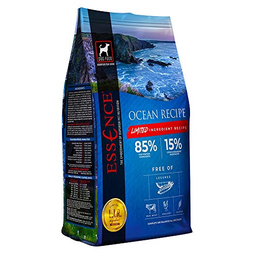 Top 10 MustHave Dog Foods for a Happy Beach Day Your OneStop Guide