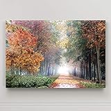 Renditions Gallery Home Wall Art Pictures Pathway through the Misty Autum Forest Canvas Hanging Prints for Living Room Office Decorations - 24'X36' LT08