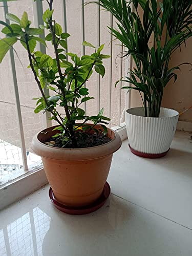Image of 6 Inch Bottom Tray /Plate /Saucer for Plant Pot (Red, 10 Pcs) | Planter Pots Dripping Tray | Gamla Flower Pot Base Plate | Round Plastic Pot Water Collection Plate