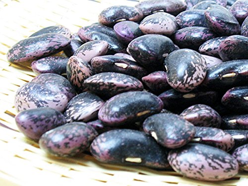 北海道四季工房 北海道産 紫花豆