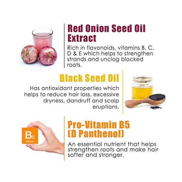 WOW-Red-Onion-Black-Seed-Oil-Shampoo-and-Conditioner-Kit-Increase-Gloss-Hydration-Shine-Reduce-Itchy-Scalp-Dandruff-Frizz-No-Parabens-or-Sulfates-All-Hair-Types-2-x-169-Fl-Oz-500mL WOW Red Onion Black Seed Oil Shampoo and Conditioner Kit Increase Gloss, Hydration, Shine - Reduce Itchy Scalp, Dandruff, Frizz, No Parabens or Sulfates, All Hair Types, 2 x 16.9 Fl Oz 500mL