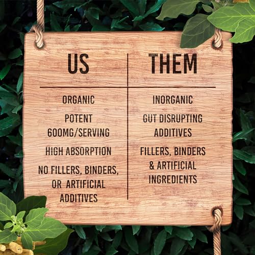 Santa Cruz Paleo Ashwagandha Capsules, 600mg Ashwagandha Root per Capsule, Gluten Free, Keto, Sugar Free, Paleo, Supports Energy, Focus, and Relaxation, BioPerine for Fast Absorption, 60 Capsules - Image 4