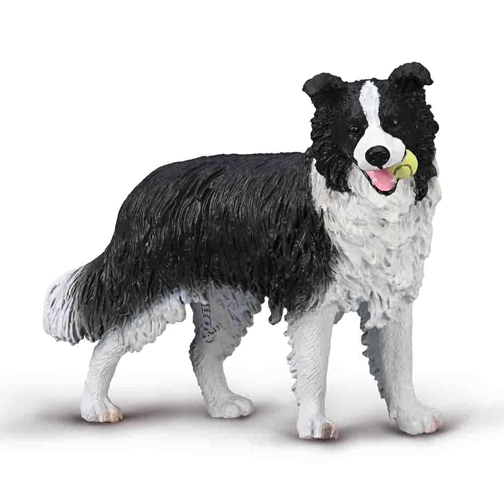 CollectA Border Collie - Realistic Hand Finished Dog Figure, Animal Toys & Figures, Gifts For Toddlers & Kids, Age 3 + Years Old