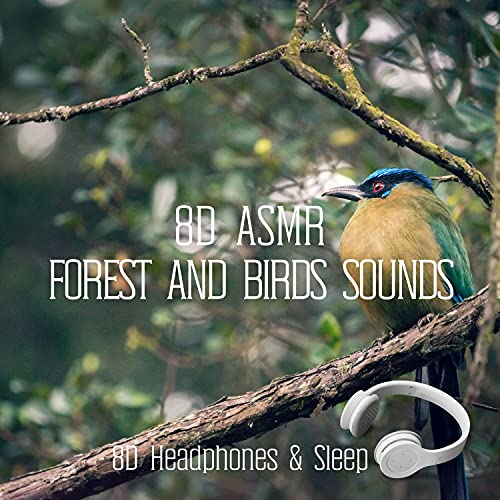 Guide To Find The Best Headphones For Footsteps To Buy Online BNB