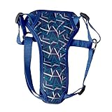 Boots & Barkley Cat & Dog Harness - Teal - Medium