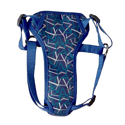 Boots & Barkley Cat & Dog Harness - Teal - Medium