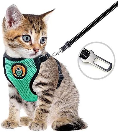 Best kitten harness 2021 Clearance