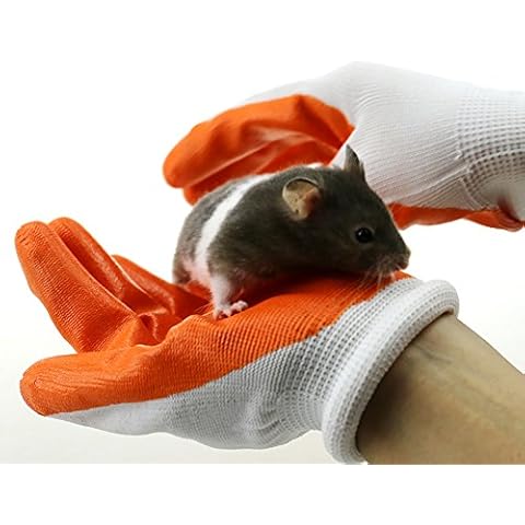 Fittoway Fitted Bite-proof Gloves Rubber Hand Protective Gloves Avoid Biting for Pet Hamster 1 Pair Cover